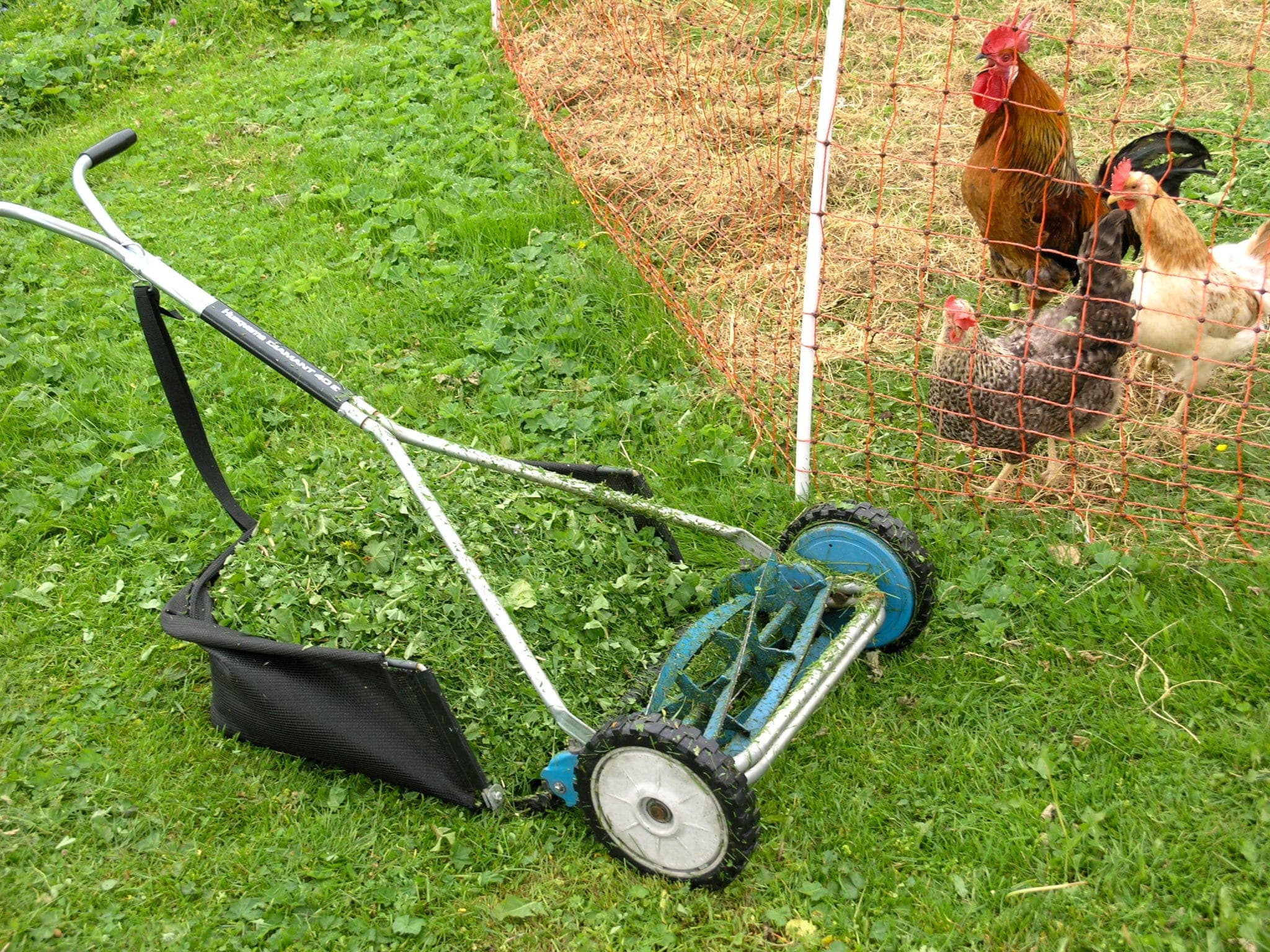 Kajsa Kavat nyfiken som vanligt inspekterar grässkördaren