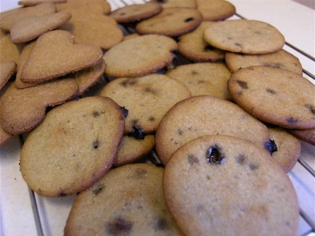 pepparkakor-lakrits-citron_mellan