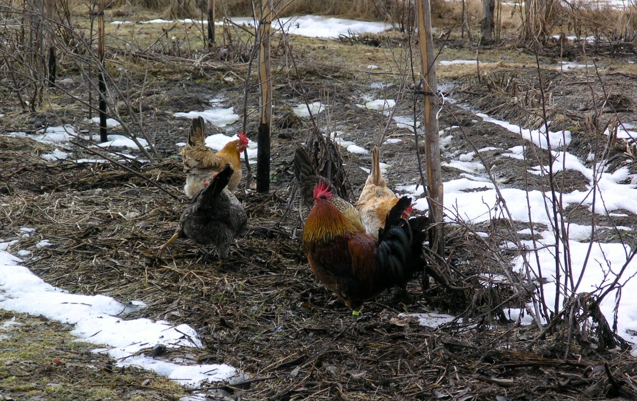 Se sån fin sprätteknik hon har