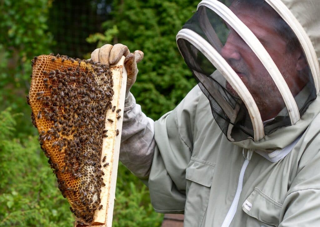 Lätthanterliga kakor