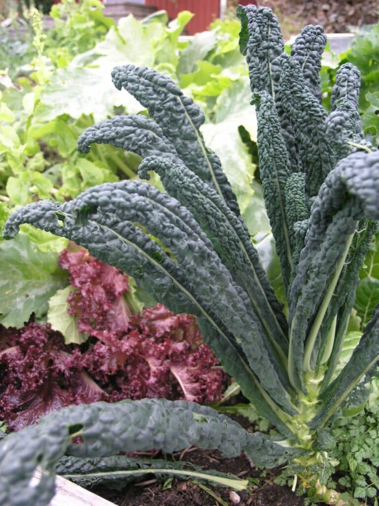 En del bladskörd blir det också.